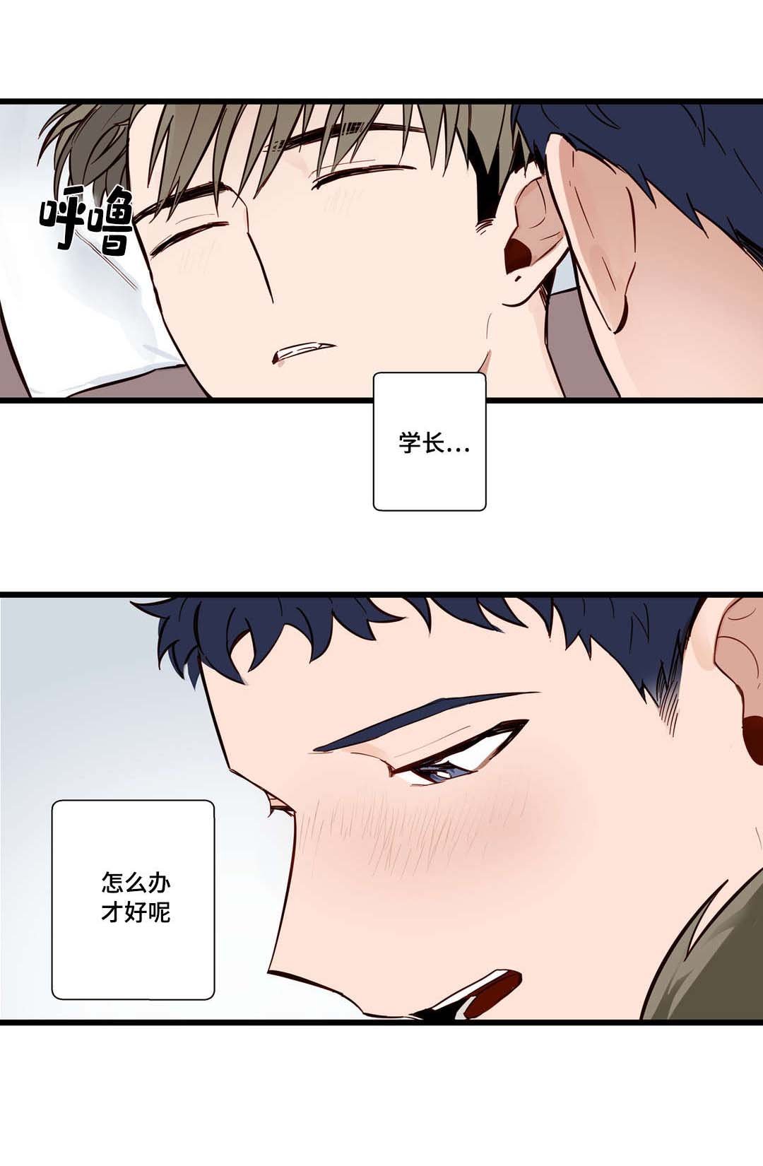 第16章：怎么办