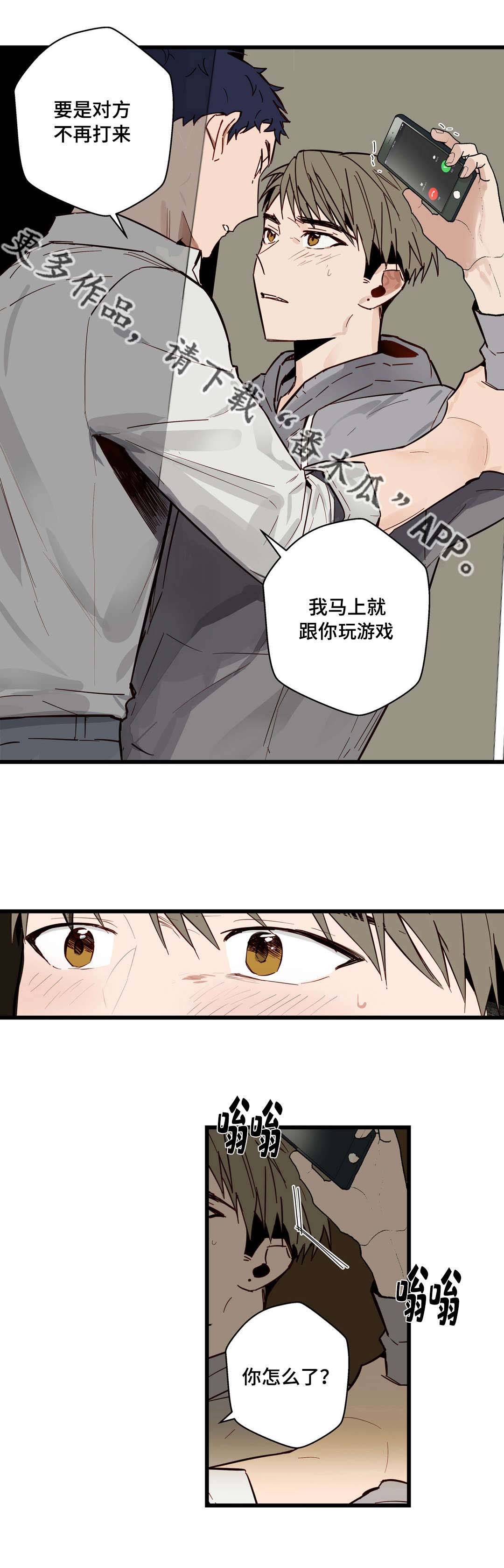 第20章：选择