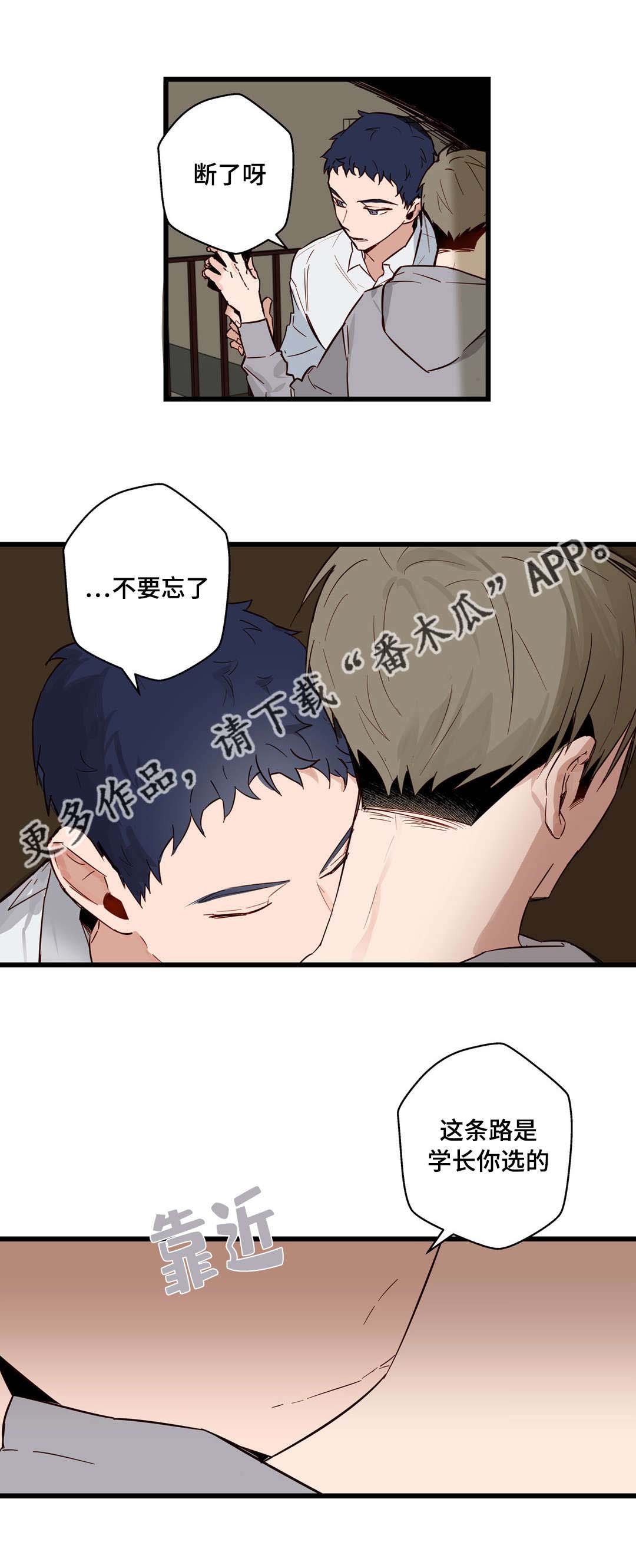 第20章：选择