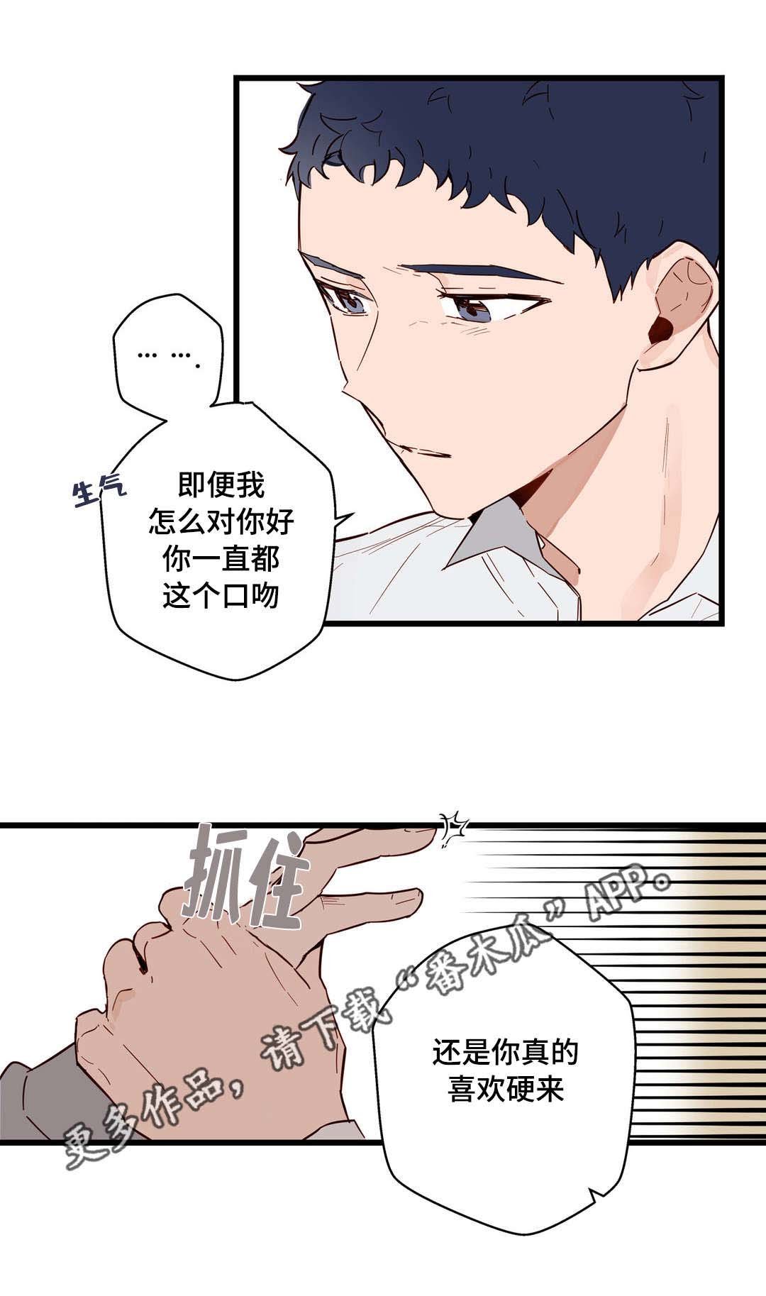 第20章：选择