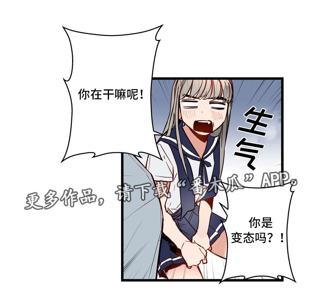 第27章：很漂亮
