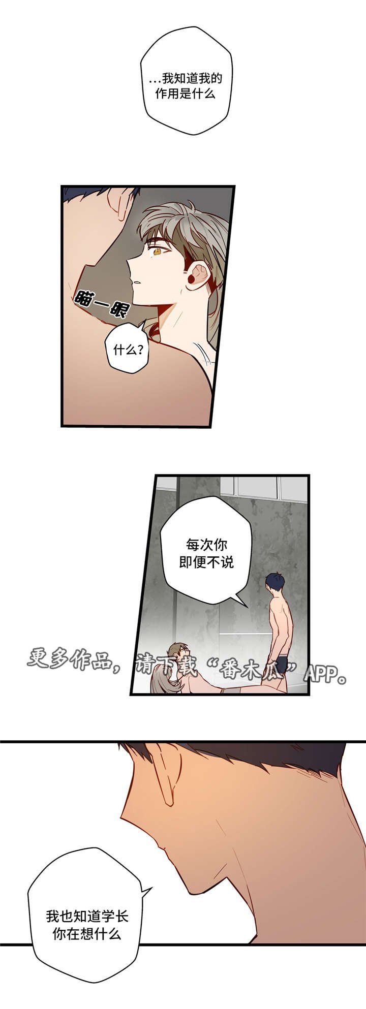 第29章：我的作用