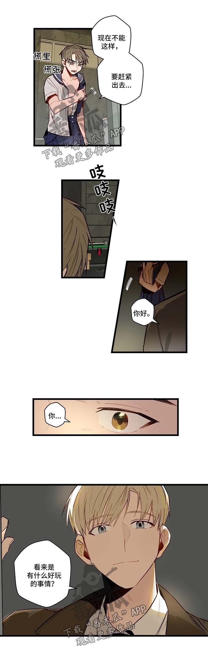 第29章：我的作用