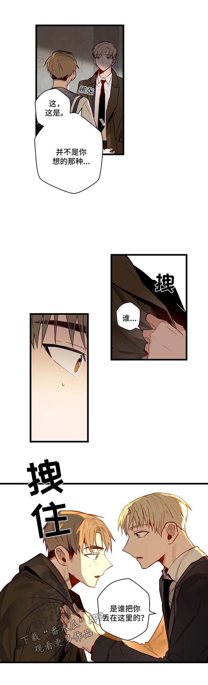 第29章：我的作用