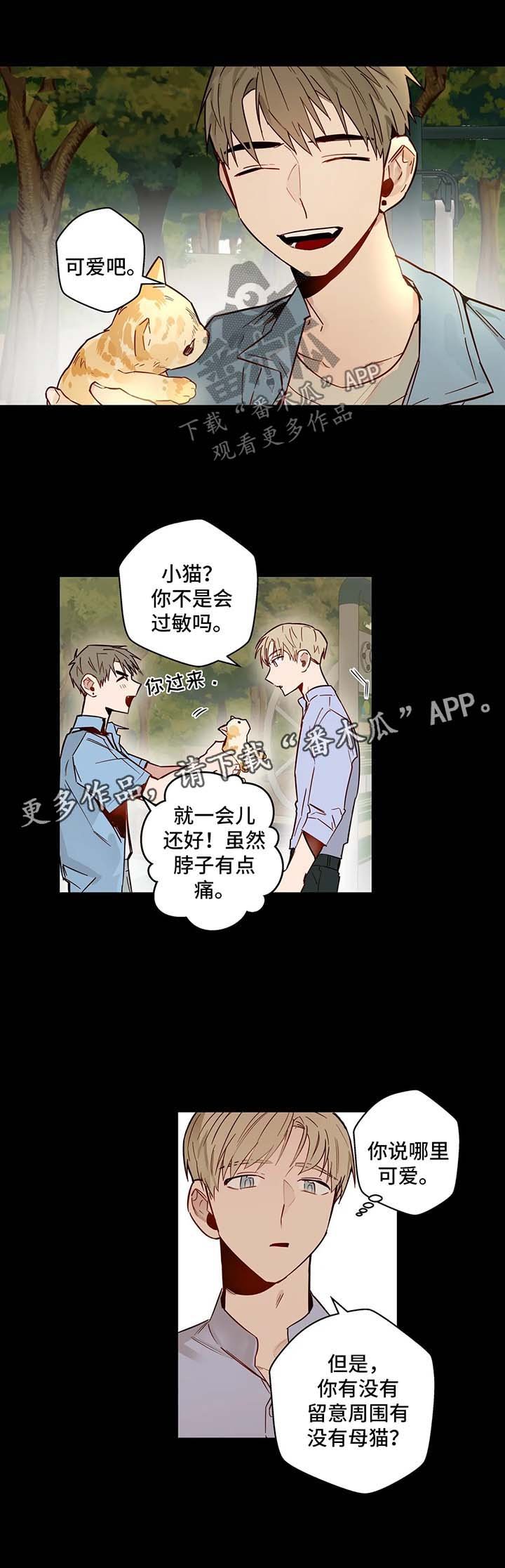 第32章：欺骗