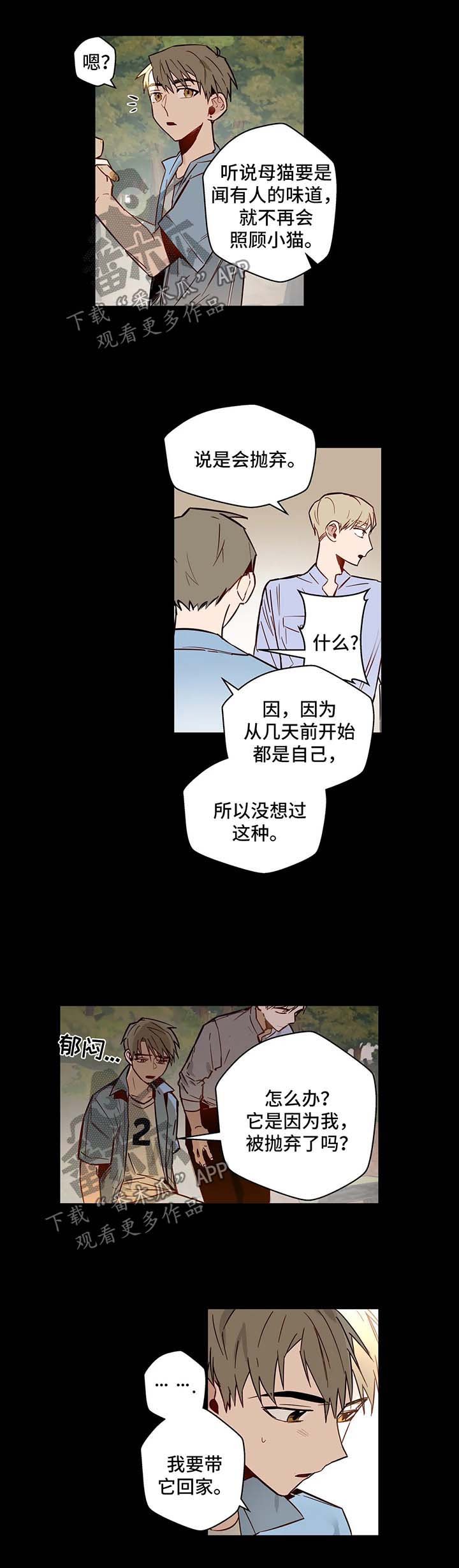第32章：欺骗