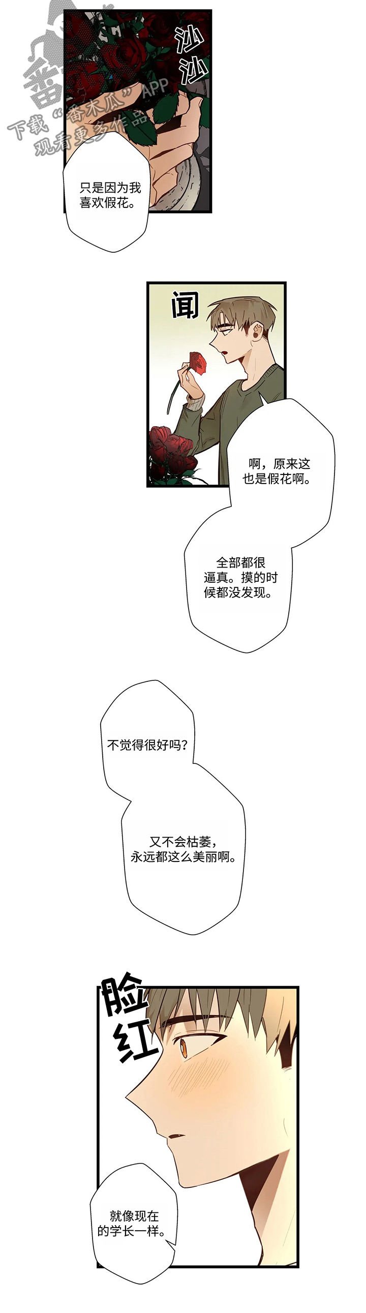 第48章：你又吃