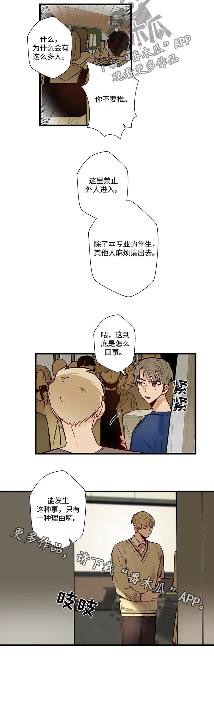 第50章：怎么回事