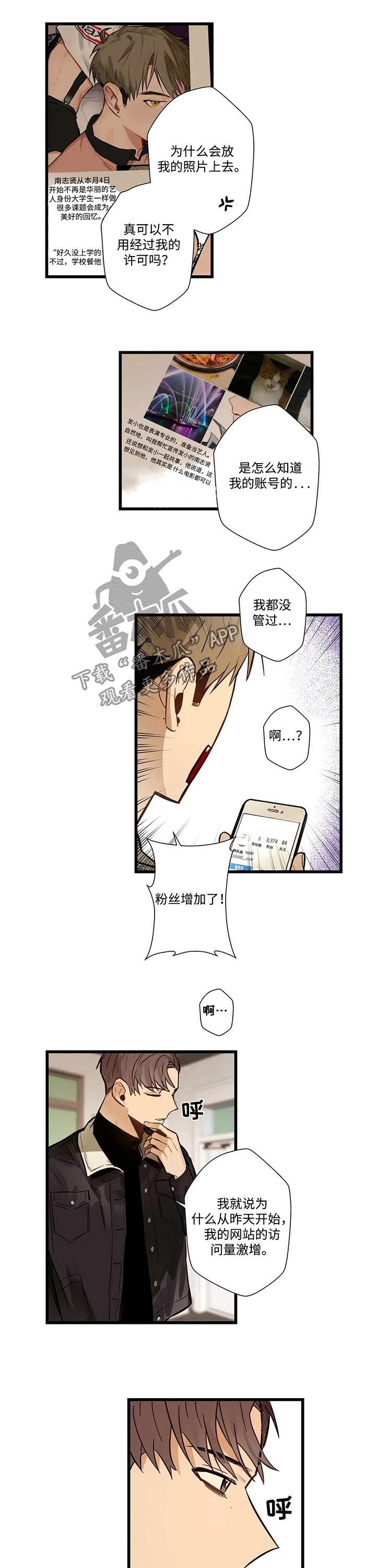 第52章：网络电视剧