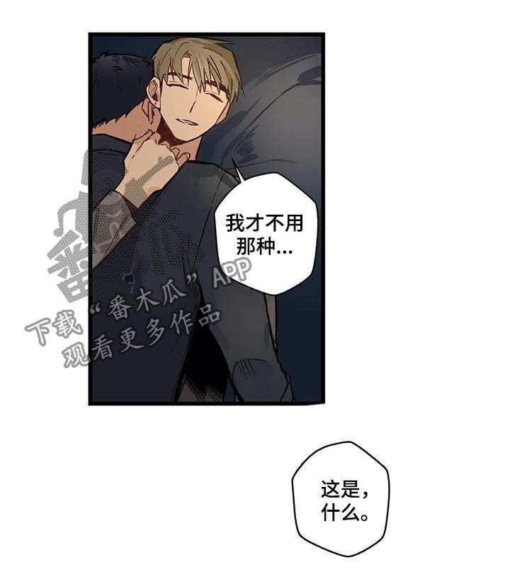 第59章：是这个吗？