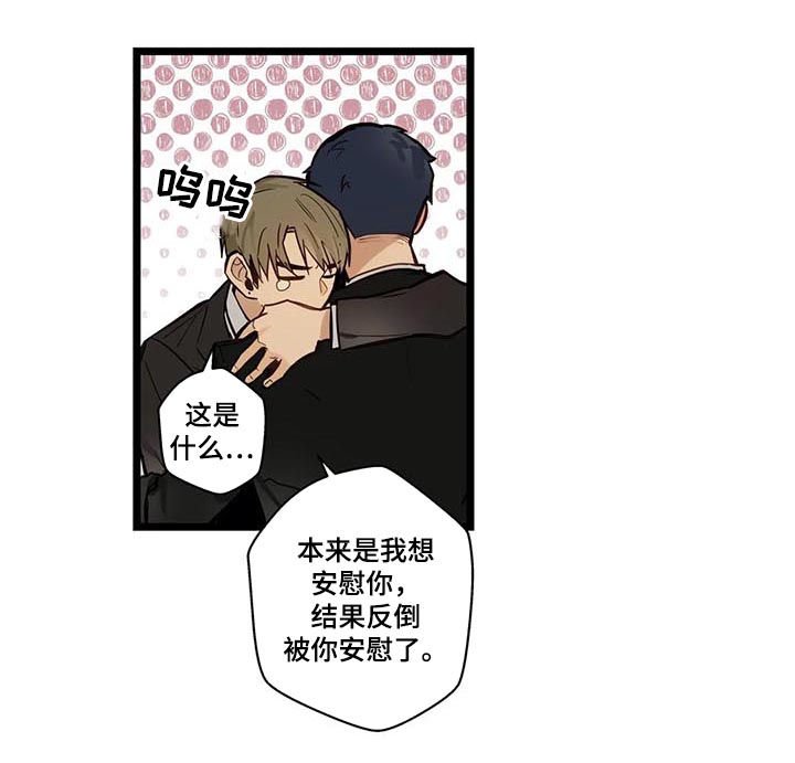第65章：回家