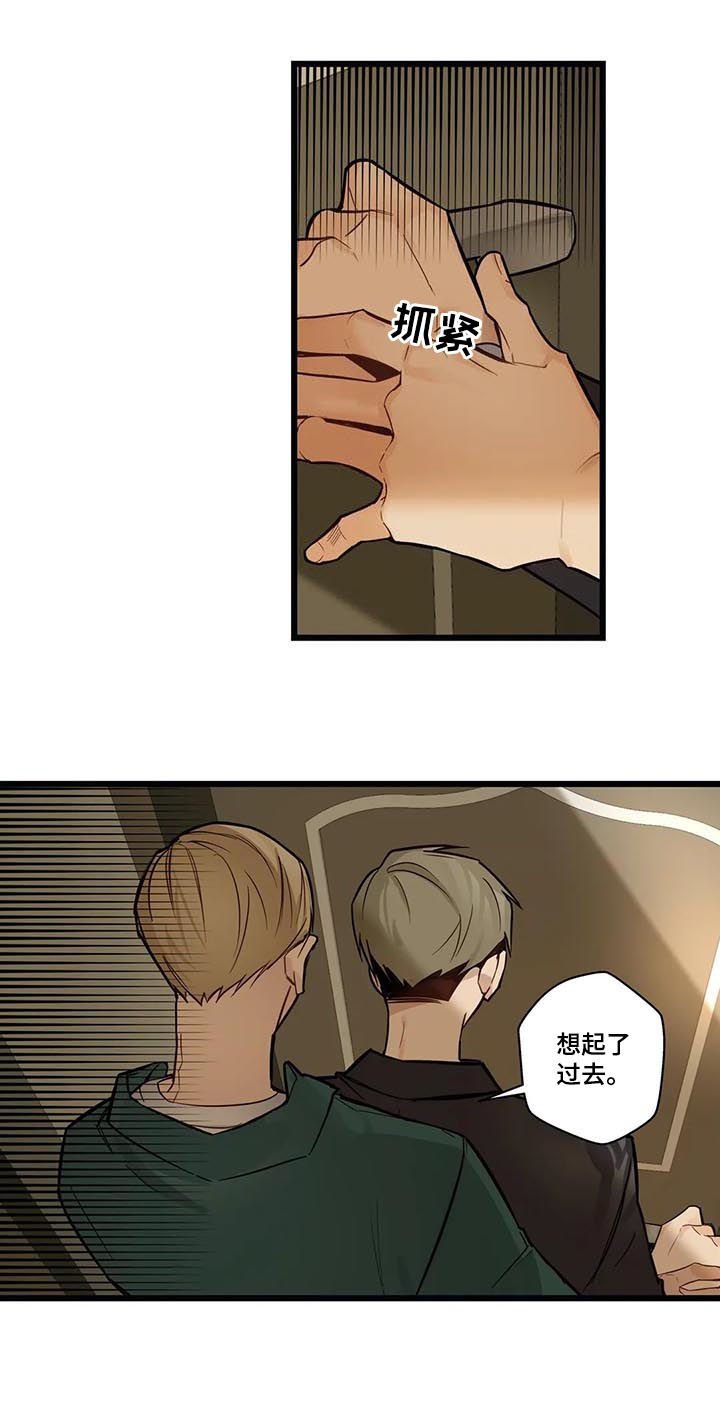 第65章：回家
