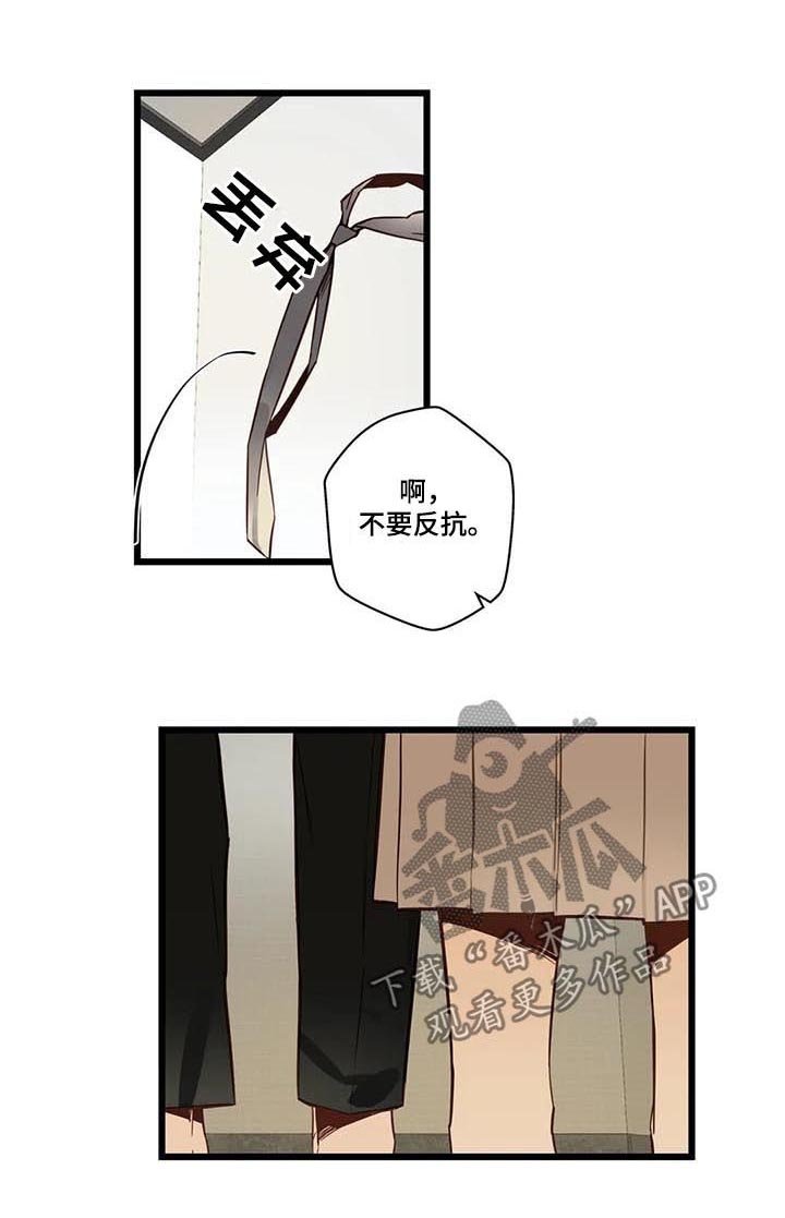 第66章：有没有话说