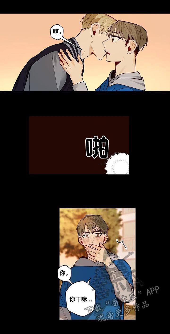 第74章：不能没有你