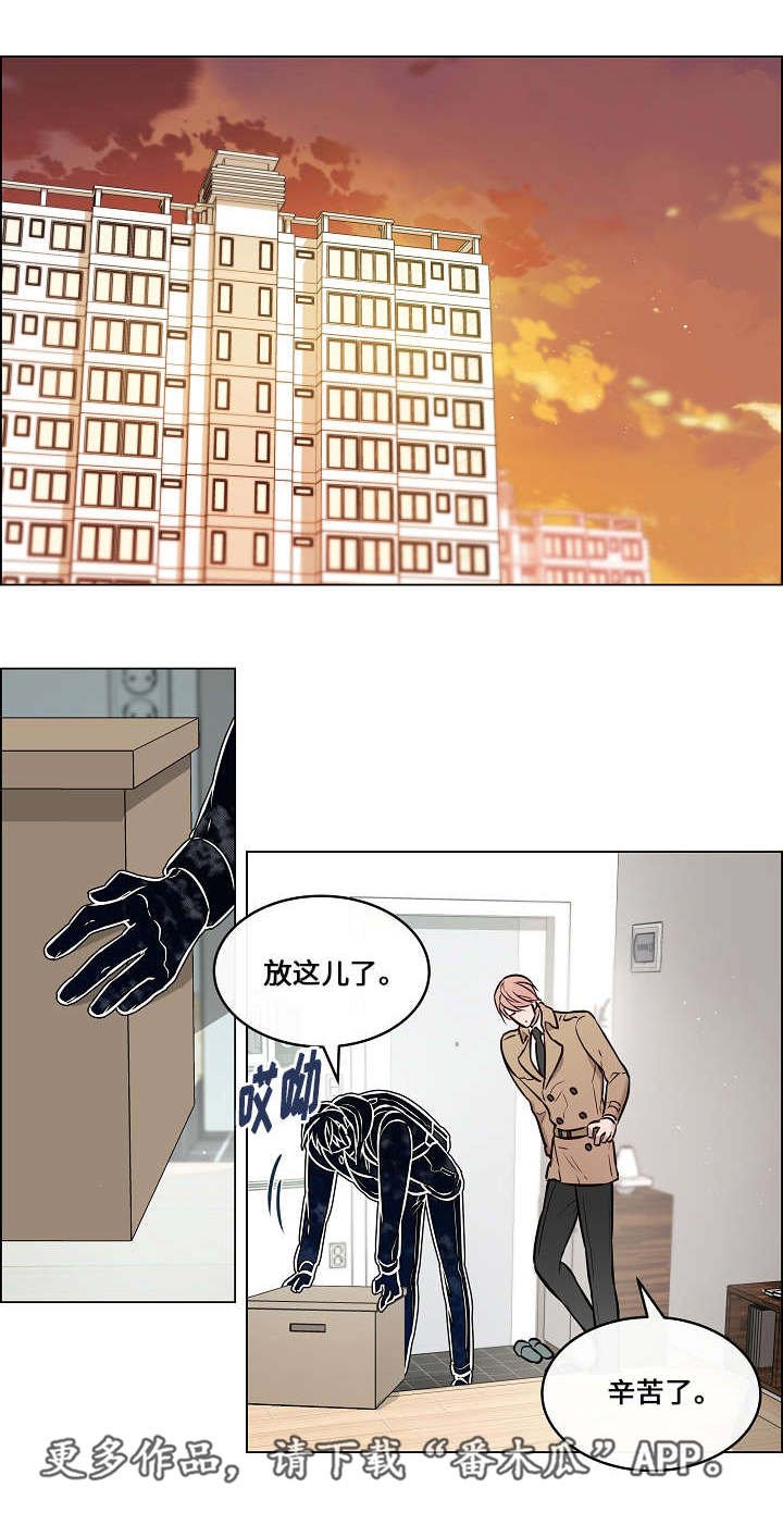 第33章：假装不重