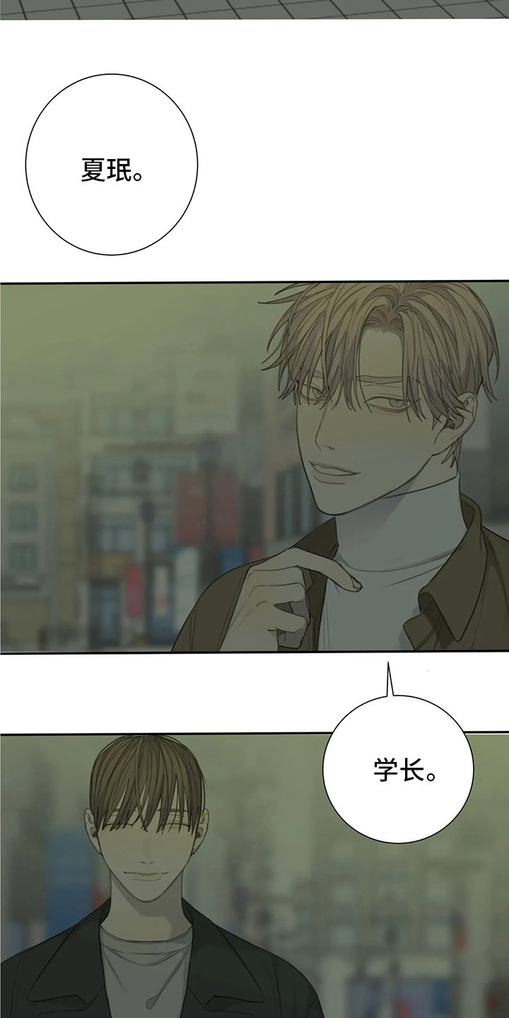 第46章：影响