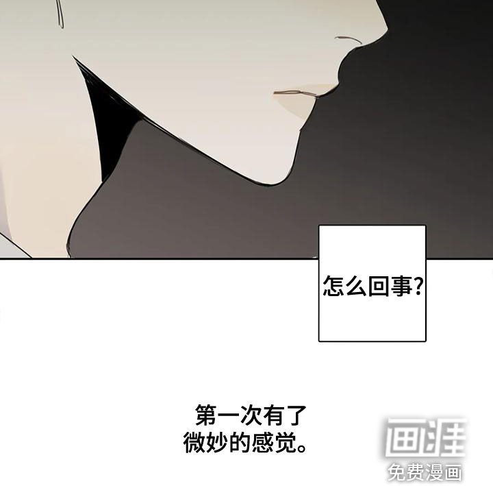 第51章：【第二季】微妙的感觉
