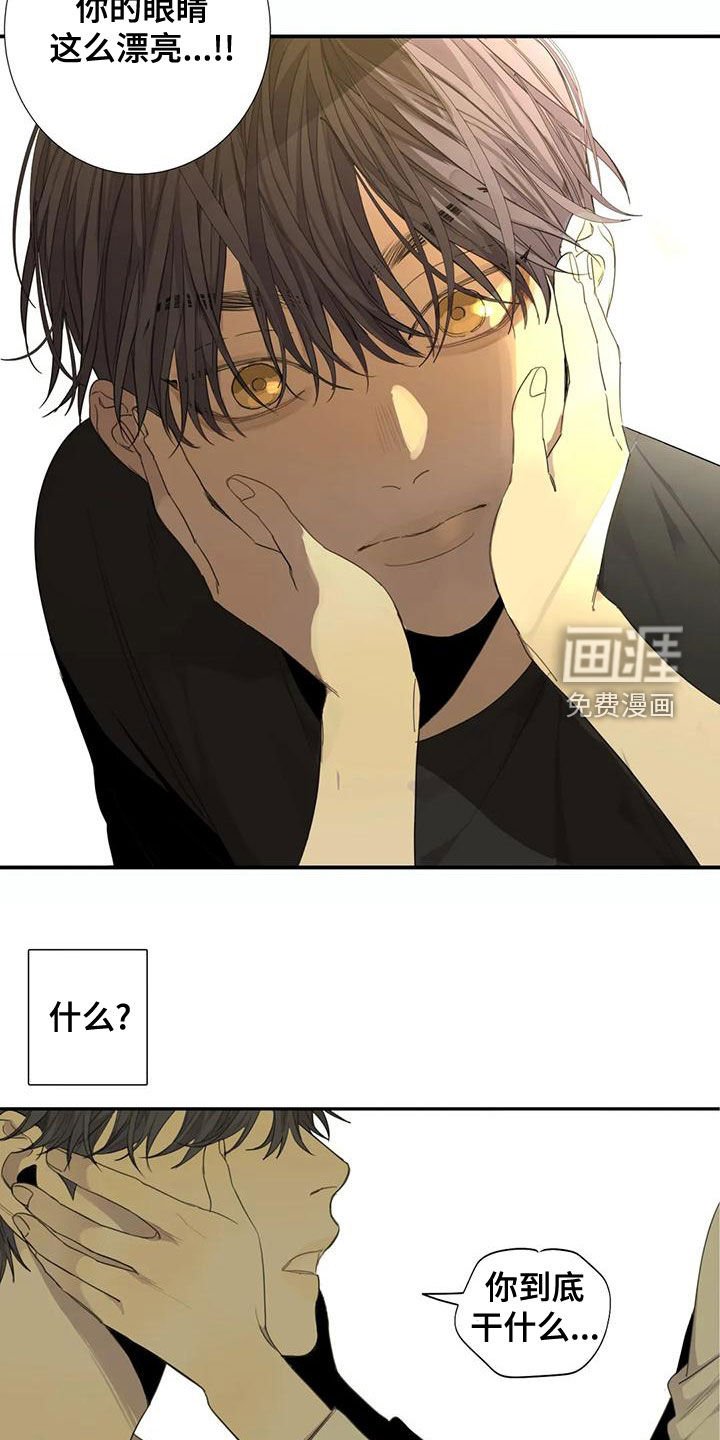第53章：【第二季】没有朋友