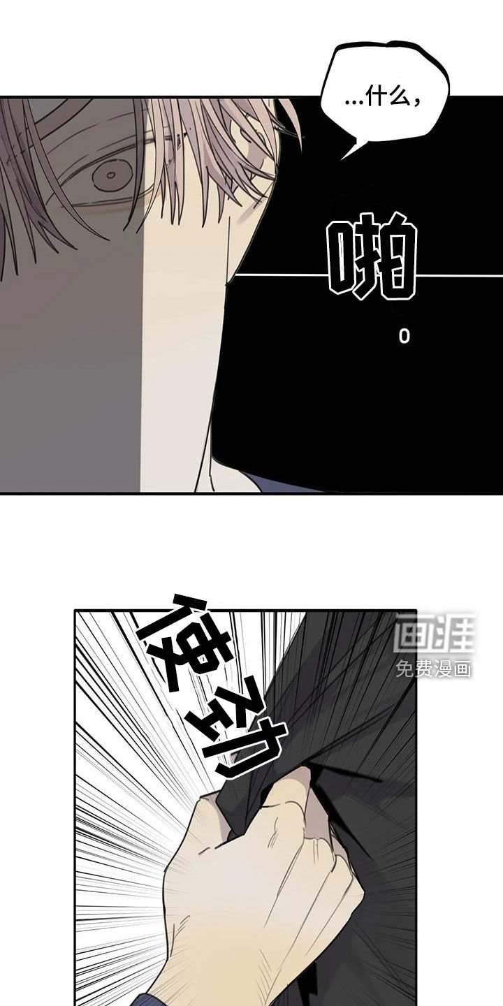 第76章：【第二季】计划进行中