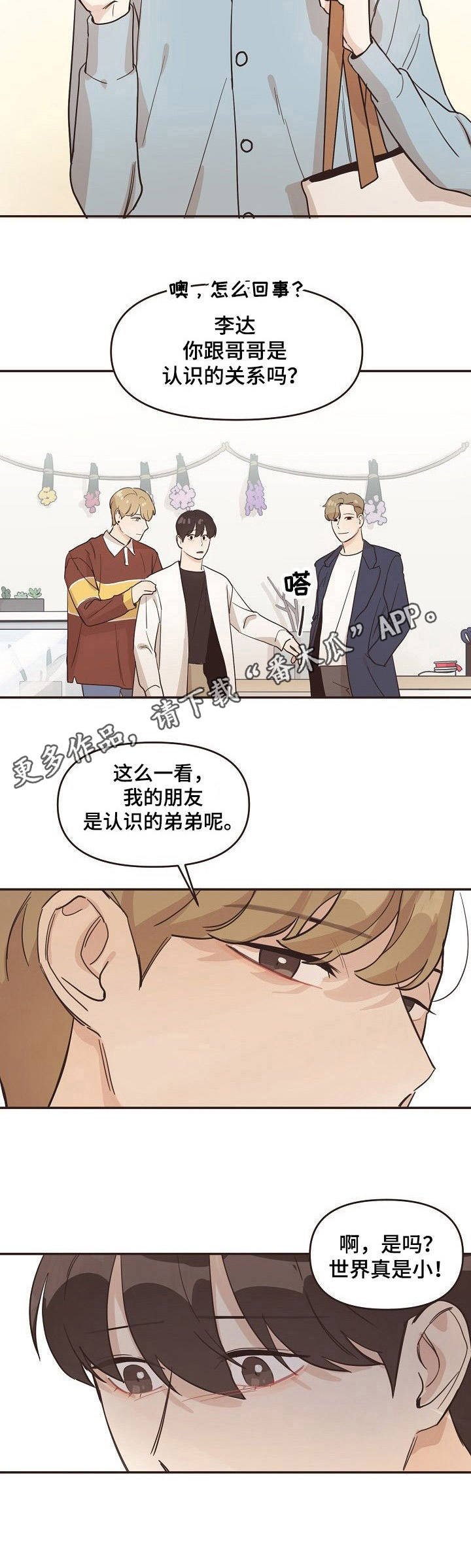 第15章：相互关联
