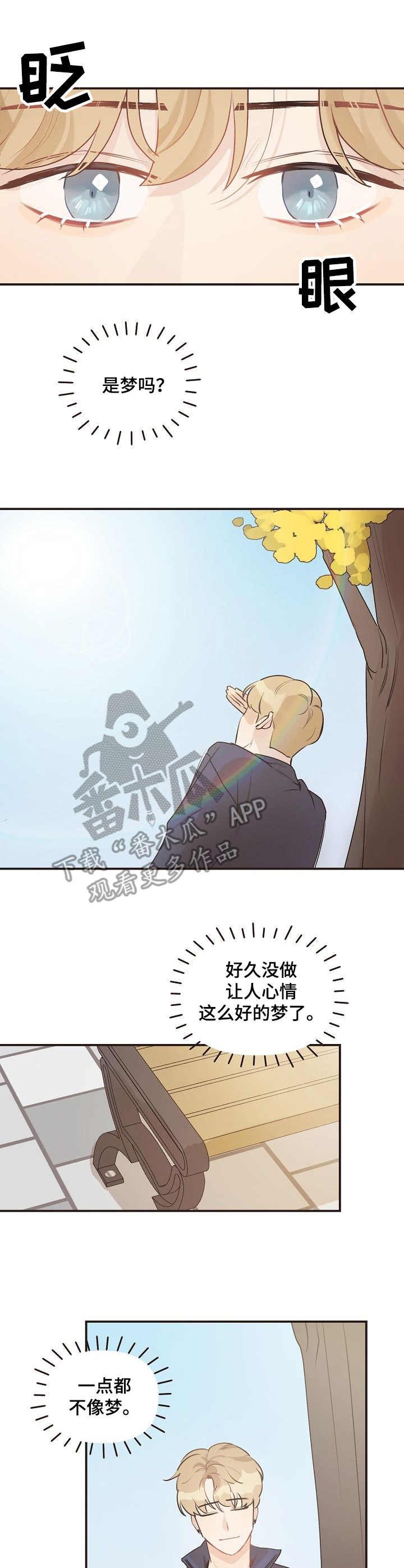 第41章：迷茫