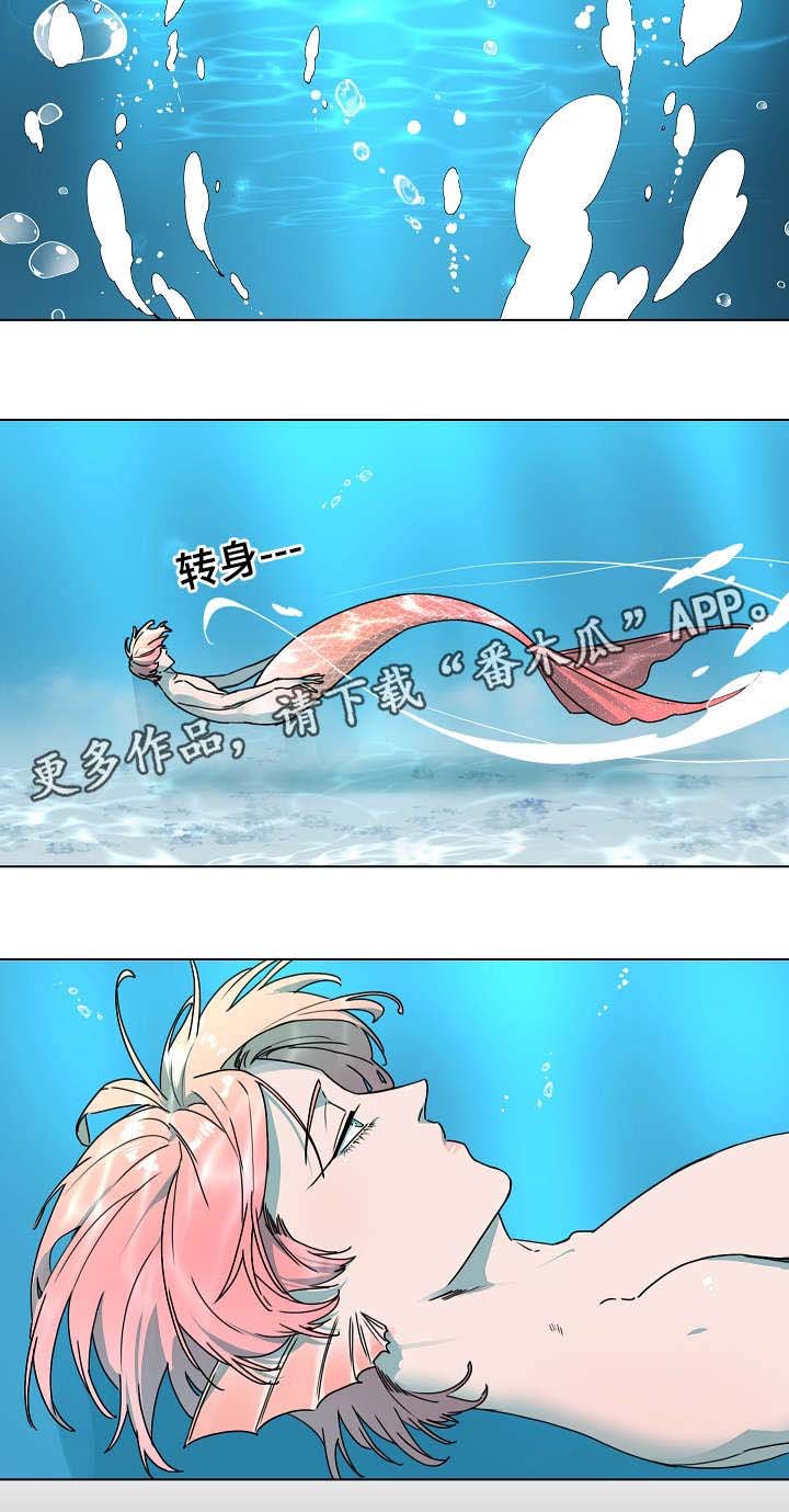 第16章：心跳