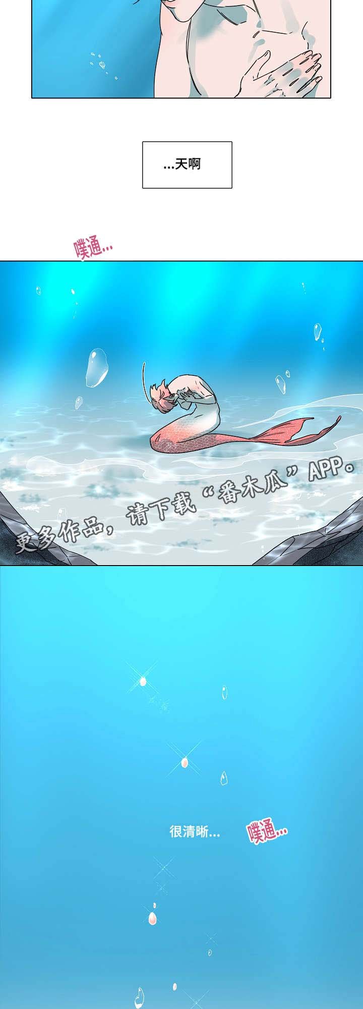 第16章：心跳