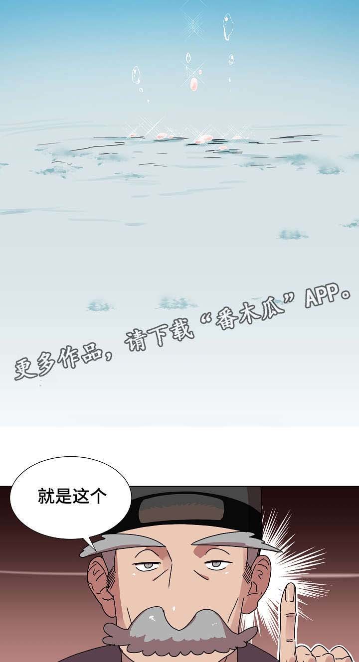 第16章：心跳