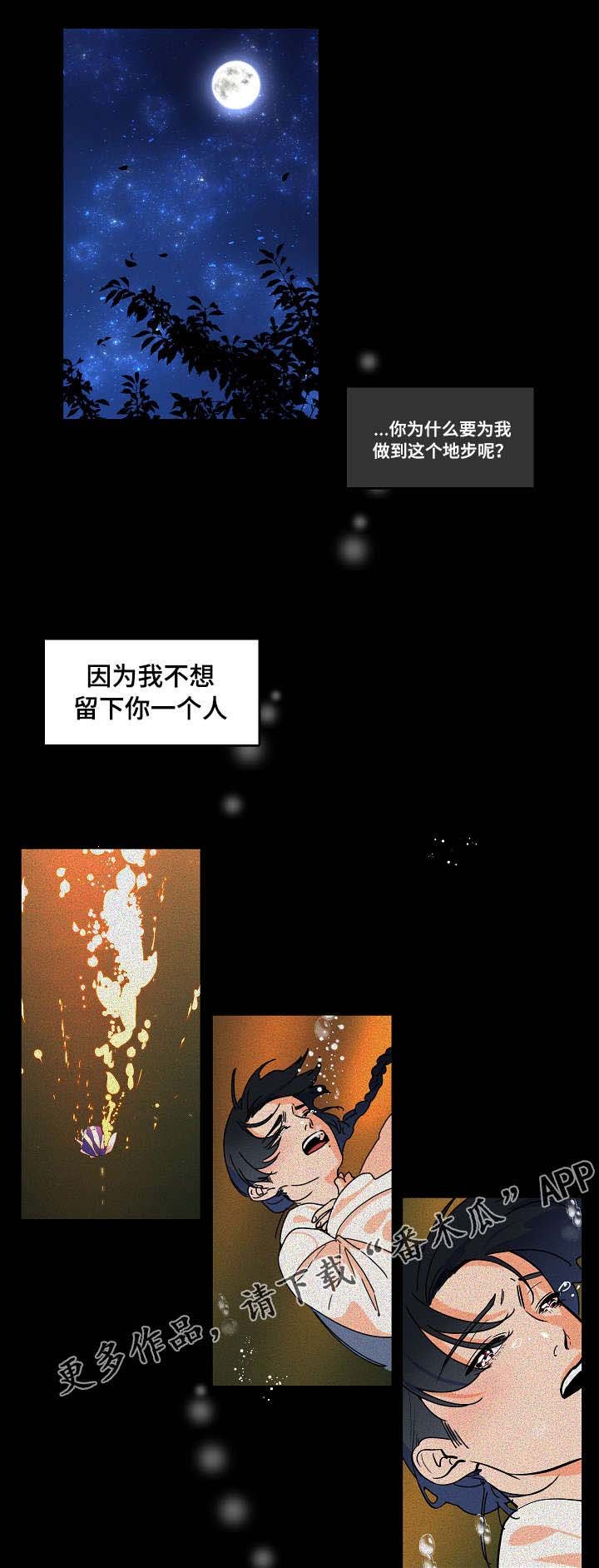 第31章：我很喜欢你