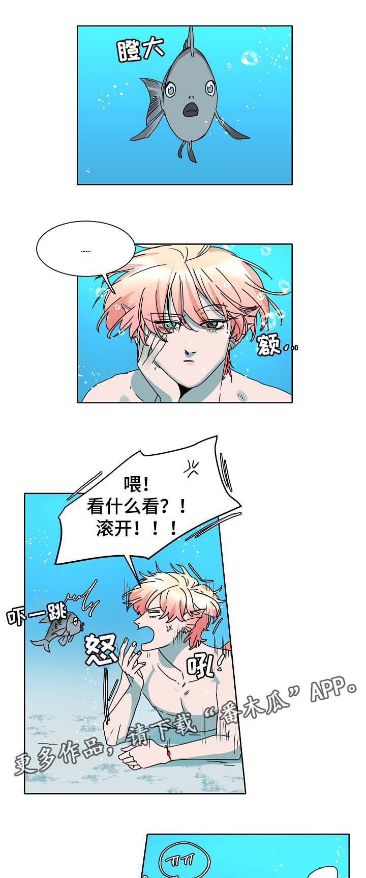 第37章：三日后见