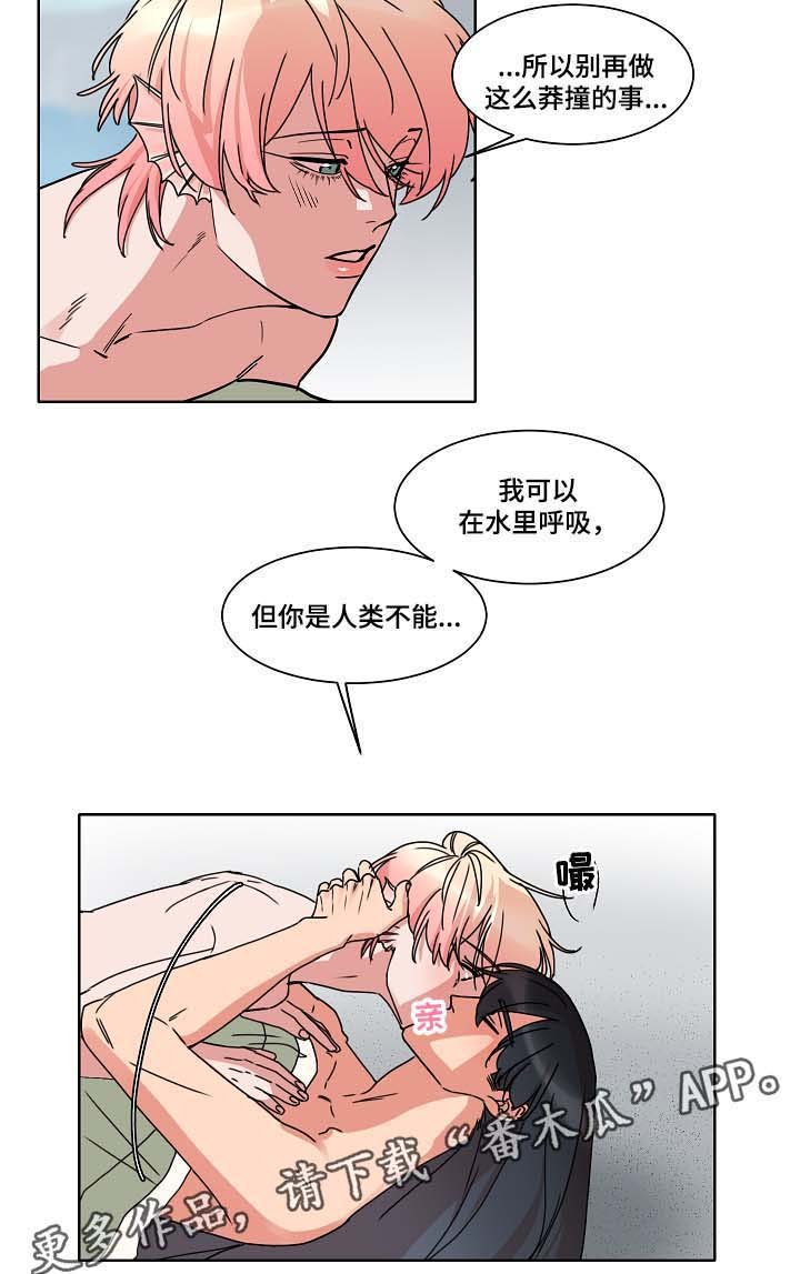 第37章：三日后见
