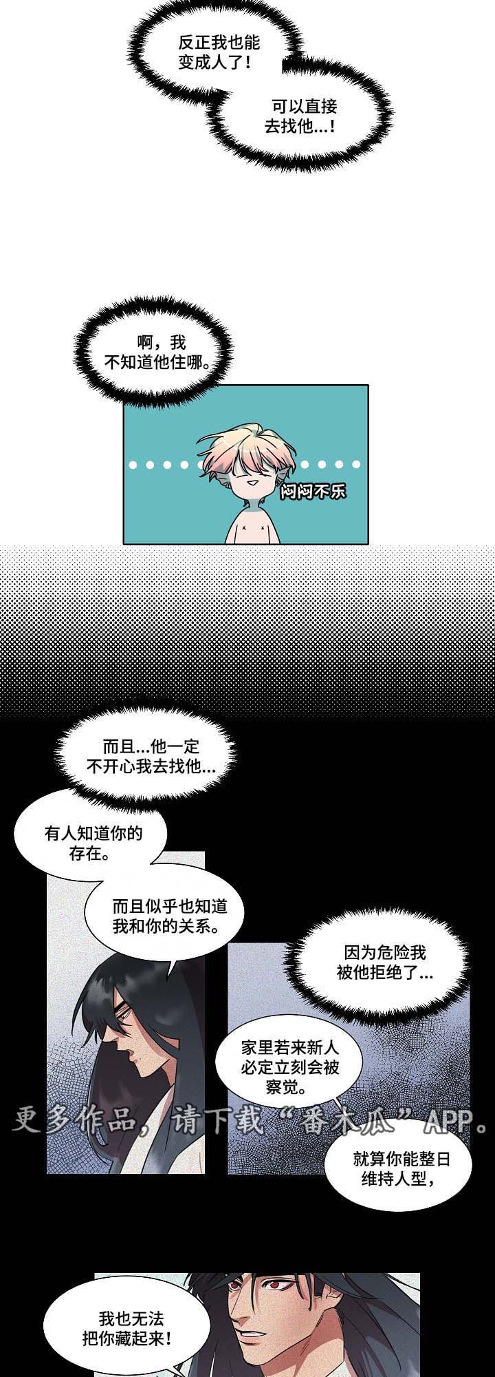 第38章：是人鱼吗