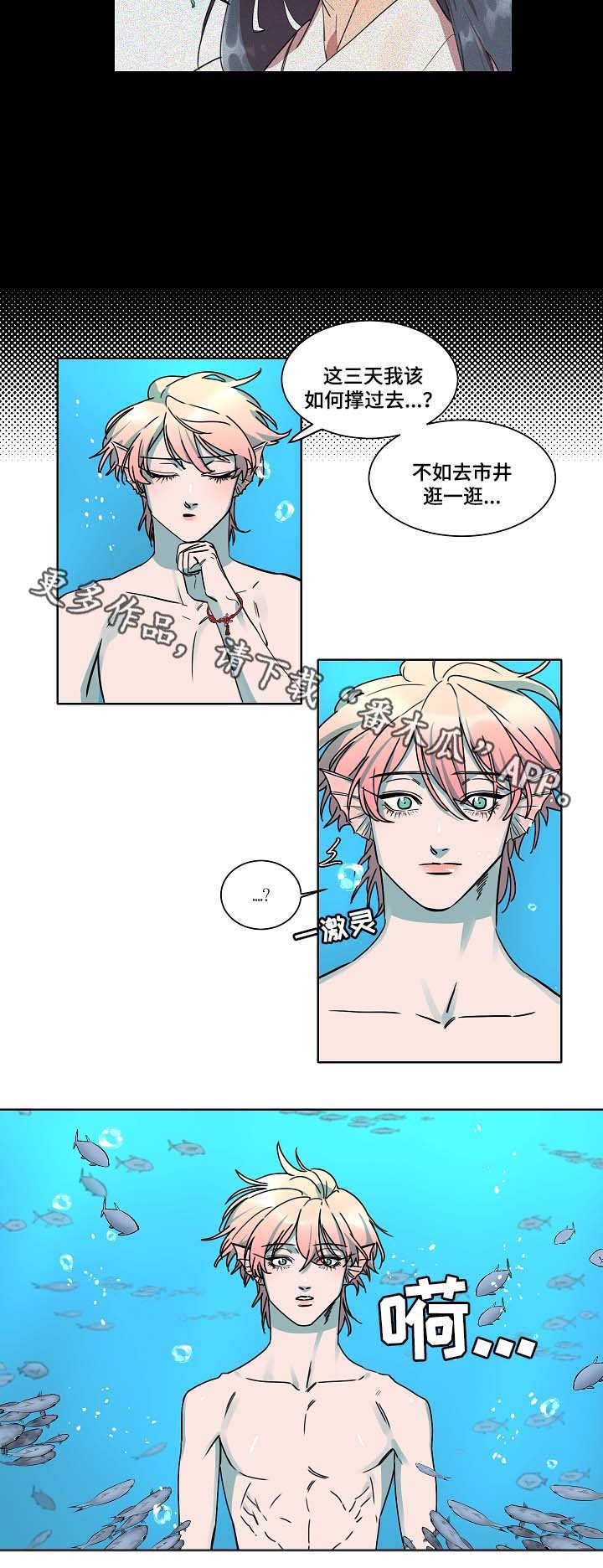 第38章：是人鱼吗