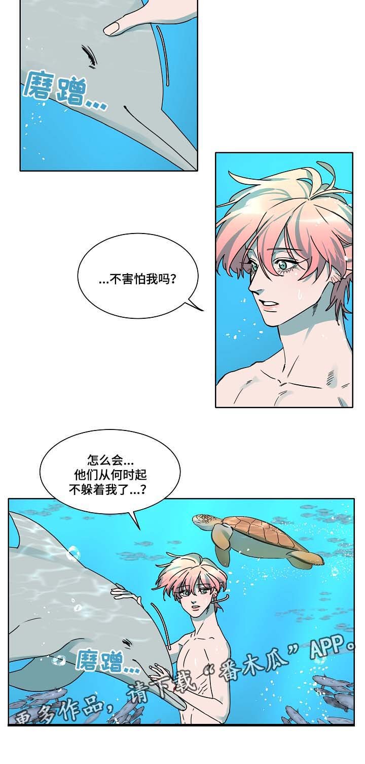 第38章：是人鱼吗
