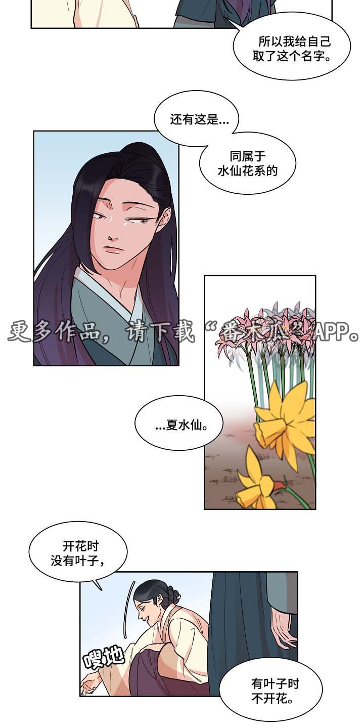 第49章：绞杀