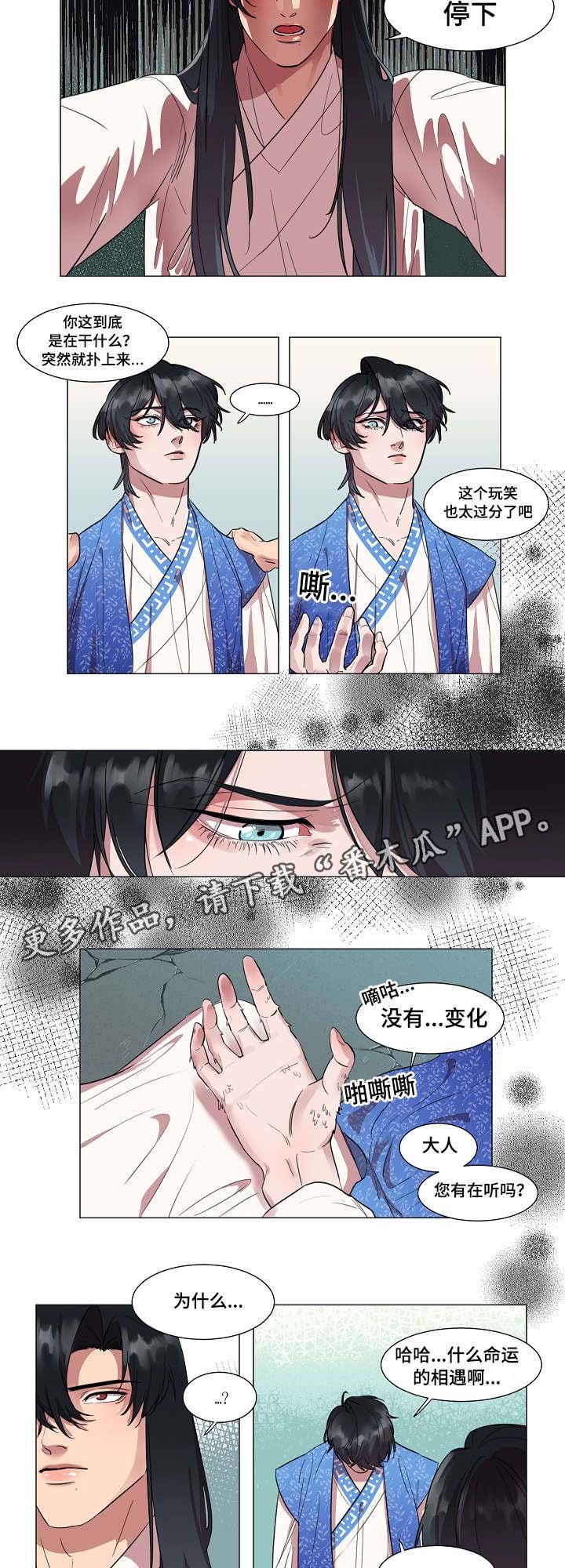第5章：你能做什么