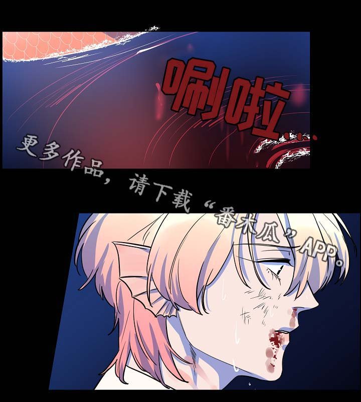 第53章：报恩