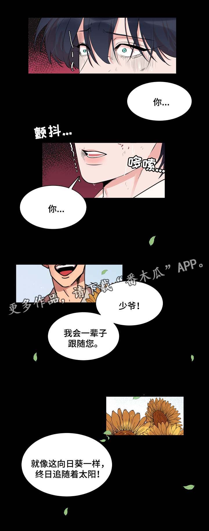 第58章：悲剧