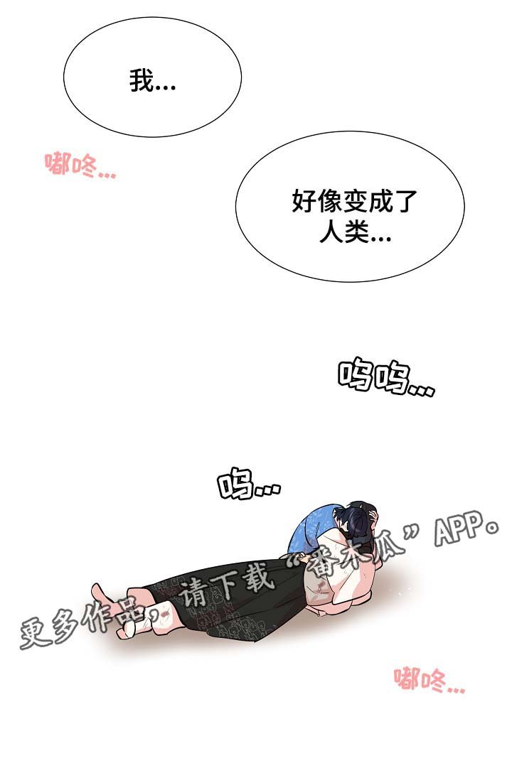 第61章：变回人类