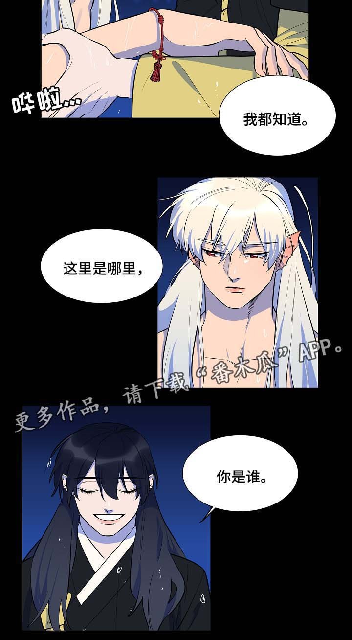 第63章：我会一直爱着你（完结）