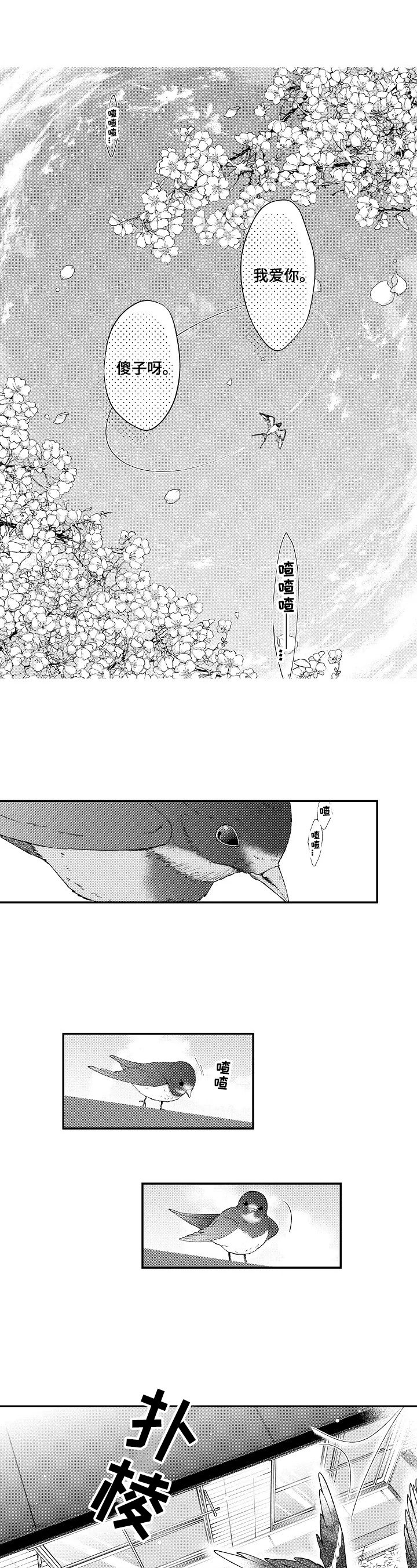 第1章：安排