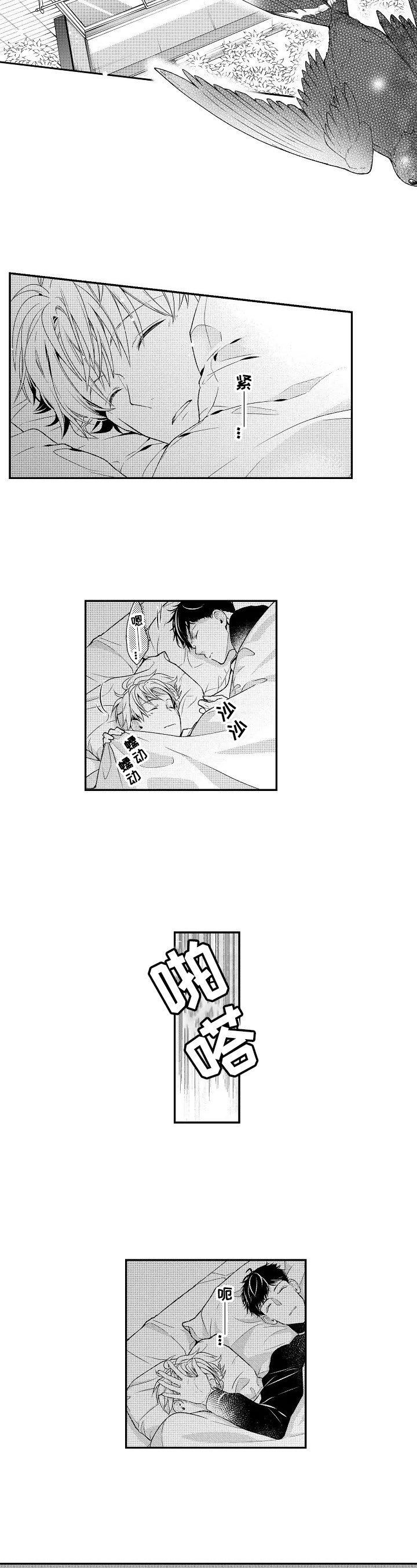 第1章：安排