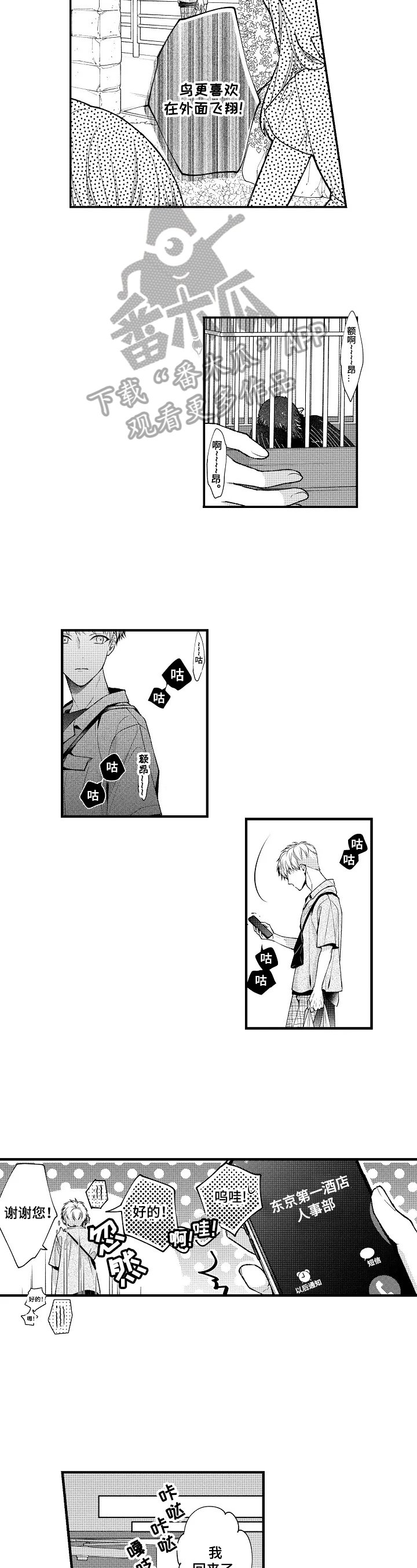 第23章：自由翱翔