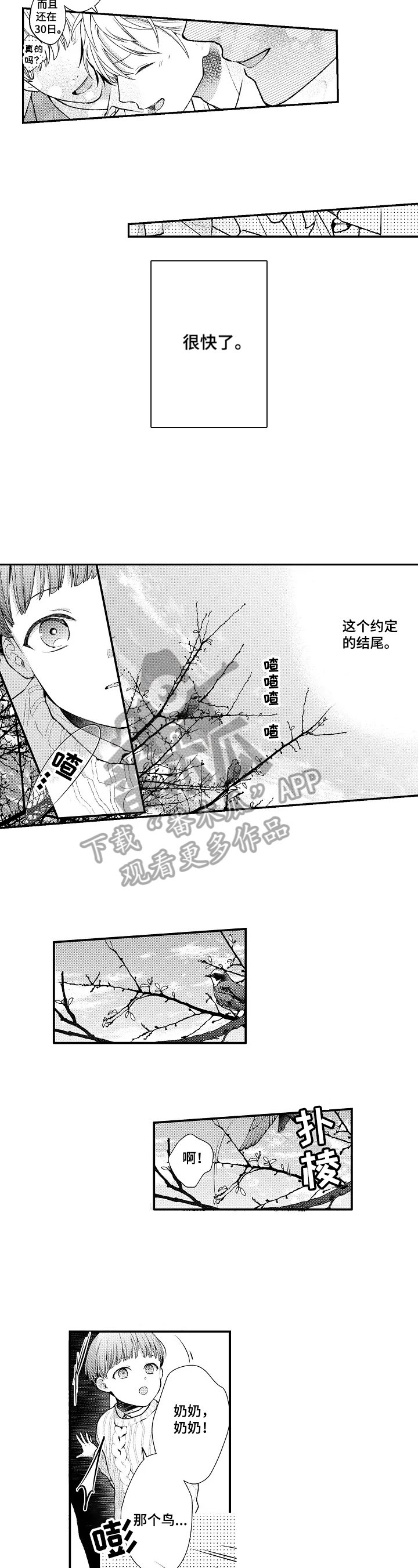 第26章：归巢之鸟