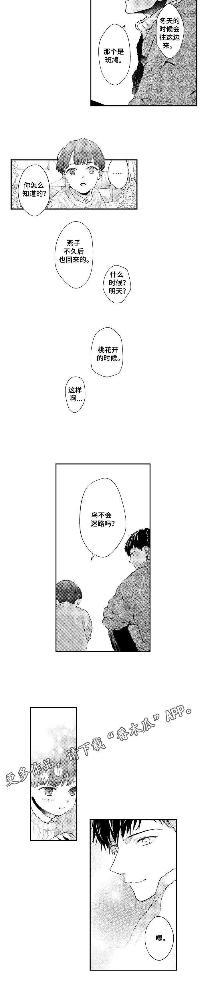 第26章：归巢之鸟