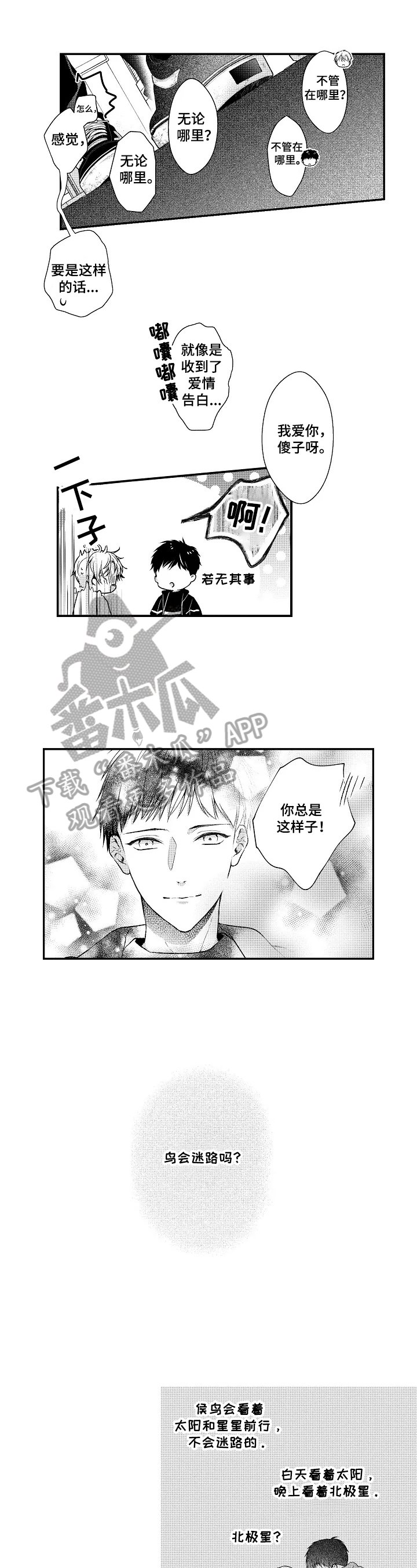 第29章：生日