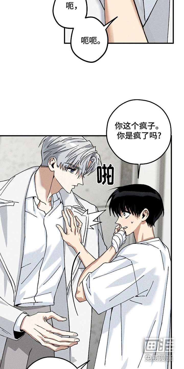 第10章：疯子