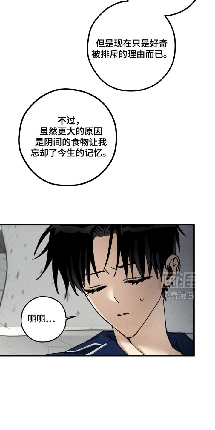 第13章：错觉