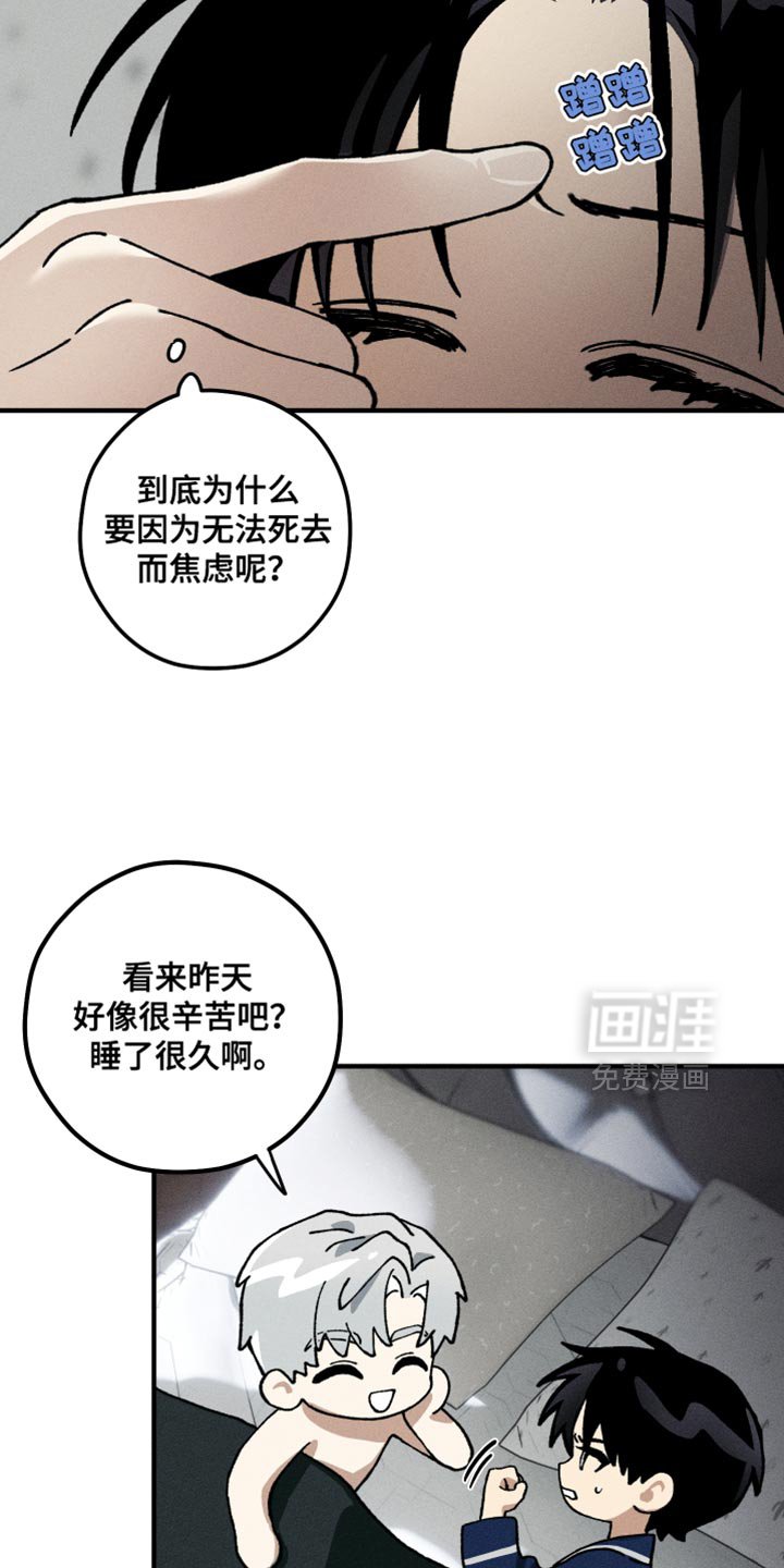 第13章：错觉