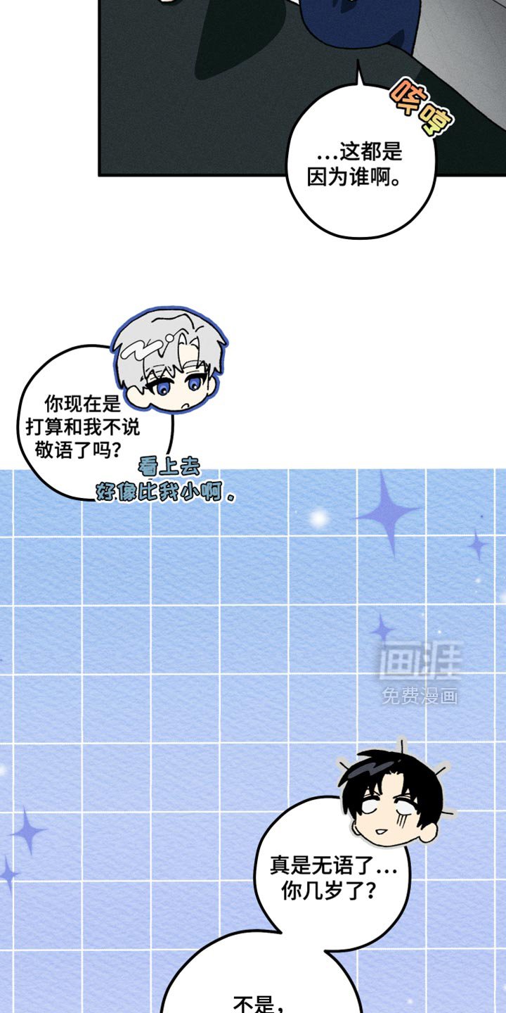 第13章：错觉